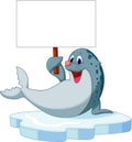 Cute seal cartoon holding blank sign Royalty Free Stock Photo