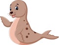 Cute seal cartoon Royalty Free Stock Photo