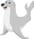 Cute seal cartoon Royalty Free Stock Photo