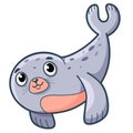 Cute Seal cartoon. Sea lion. Seal clipart vector