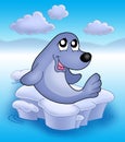 Cute seal on iceberg 2 Royalty Free Stock Photo