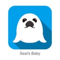 Cute seal`s baby flat icon design, vector Royalty Free Stock Photo