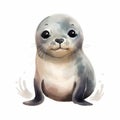 Cute Seal Watercolor Illustration On White Background Royalty Free Stock Photo