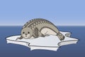 Cute seal Zentangle vector. Phoca on the ice Zen Tangle. Wild animals.