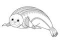 Cute seal Zentangle vector. Phoca Zen Tangle. Wild animals coloring book for adult.