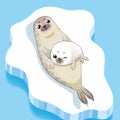 Cute seals family cartoon character design. Royalty Free Stock Photo