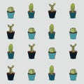 Cute seamless cactus pattern Royalty Free Stock Photo