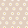 Cute seamless daisy pattern on brown background. Vintage summer chamomile floral print vector illustration