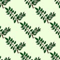 Cute seamless pattern. Gentle hand drawn green olive twigs isolated on a white background. Vector green branch frame