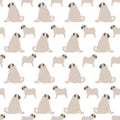 Cute seamless pattern of mops. Adult dog and puppy look in different directions. Vector. Royalty Free Stock Photo