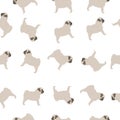 Cute seamless pattern of mops. Dog puppy In different positions Vector. Royalty Free Stock Photo