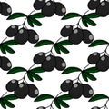 Cute seamless pattern.Olives on a beautiful background with the inscription. Vegetarian elements for your design