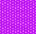 Cute seamless pattern of pink animal paw prints on violet background. Royalty Free Stock Photo