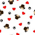 Cute seamless pattern with pug dog, paw print and red heart, transparent background Royalty Free Stock Photo