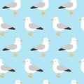 Cute seamless pattern of seagulls in flat style isolated on blue water, vector sea bird illustration, for children Royalty Free Stock Photo