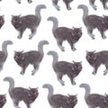 Cute seamless pattern with watercolor domestic black cat with long tail. Isolated on white background for design, fabric, postcard