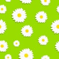 Cute seamless pattern with white chamomiles flowers on a grass or green background