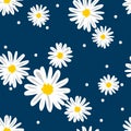 Cute seamless pattern of white daisies flower in doodle style and tiny circle on blue background Royalty Free Stock Photo