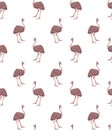 Cute seamless vector pattern with australian ostrich. Brown bird, for printing on t-shirts, packaging, wallpapers, paper