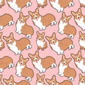 Cute seamless vector pattern with different corgi dogs on pink background. pattern for printing on fabric, clothing, wrapping pape