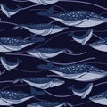 Cute seamless whale pattern on a blue background. The pattern repeats a blue and white marine animal with a family