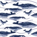 Cute seamless whale pattern on white background with blue lines. The pattern repeats the blue and white marine animal