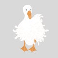 Cute Sebastopol goose. Cartoon vector illustration isolated on grey background. Royalty Free Stock Photo