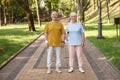 Cute senior family couple holds hands standing in green park