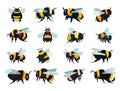 A cute set of bees. Flying bee. Flat vector illustration Royalty Free Stock Photo