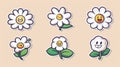 A cute set of daisies with smiling faces, in a retro groovy style. Funny comic chamomile characters isolated on a white