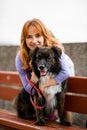 cute shaggy dog sits on bench young beautiful woman hugs her Royalty Free Stock Photo