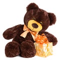 Cute shaggy smiling teddy bear with gift