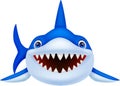 Cute shark cartoon Royalty Free Stock Photo