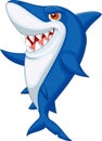 Cute shark cartoon