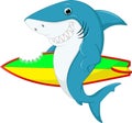 Cute shark surfing cartoon Royalty Free Stock Photo
