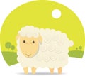 Cute Sheep