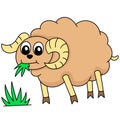 Cute sheep animals eating grass, doodle kawaii. doodle icon image Royalty Free Stock Photo
