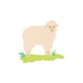 Cute sheep cartoon character or icon flat vector illustration isolated on white. Royalty Free Stock Photo
