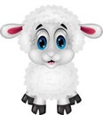 Cute sheep cartoon Royalty Free Stock Photo