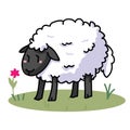 Cute sheep cartoon vector illustration motif set. Hand draawn isolated agriculture livestock elements clipart for farming blog,