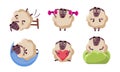 Cute Sheep Character Set, Funny Farm Animal in Different Situations, Sheep Sleeping, Doing Sports, Dying, Hiding in