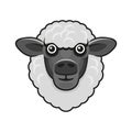 Cute Sheep Face on White Background. Vector Royalty Free Stock Photo