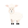 Cute sheep farm animal icon isolated on white background. Royalty Free Stock Photo