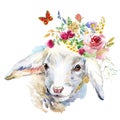 Cute sheep. farm animal illustration. Watercolor hand drawn calf