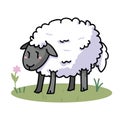 Cute sheep in a field cartoon vector illustration motif set. Hand draawn isolated agriculture livestock elements clipart