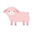 Cute sheep in flat style isolated on white background. Vector illustration. Cartoon sheep. Royalty Free Stock Photo