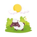 Cute sheep flowers grass sun farm animal cartoon Royalty Free Stock Photo