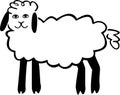 Cute Sheep