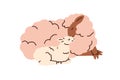 Cute sheep mom and lamb baby lying together. Farm animals family, adorable sweet mother and little cub child. Mommy and