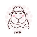 Cute Sheep Portrait Royalty Free Stock Photo